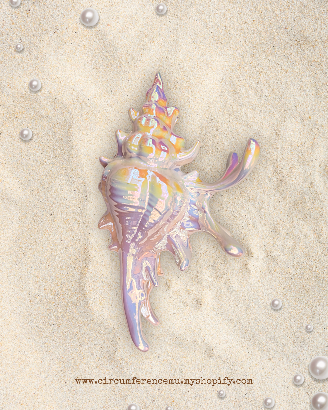 Conch Claw Clip