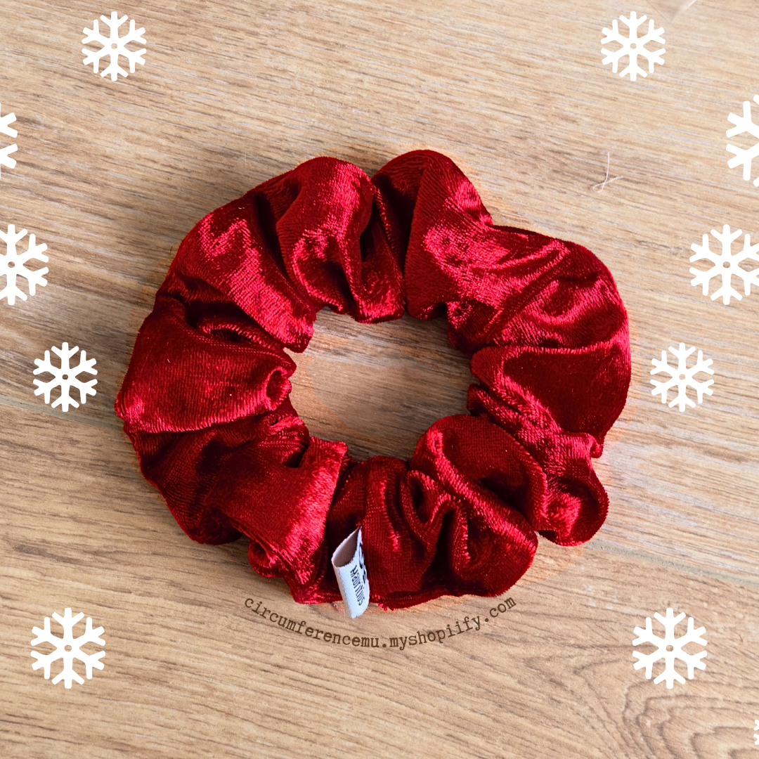 Velvet Scrunchie