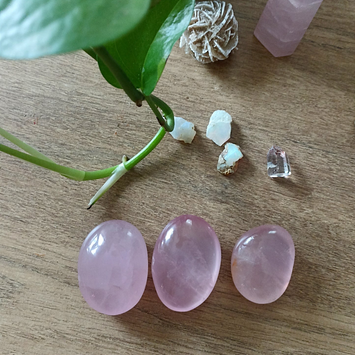 Rose Quartz Palmstone Crystal