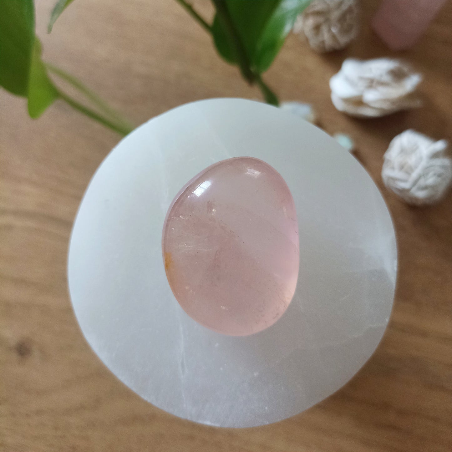 Rose Quartz Palmstone Crystal