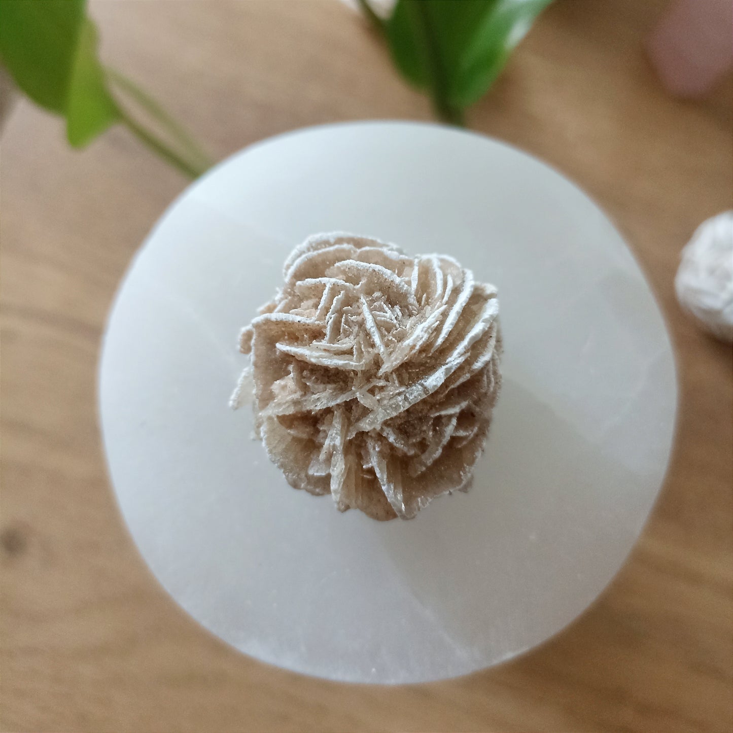 Desert Rose Crystal