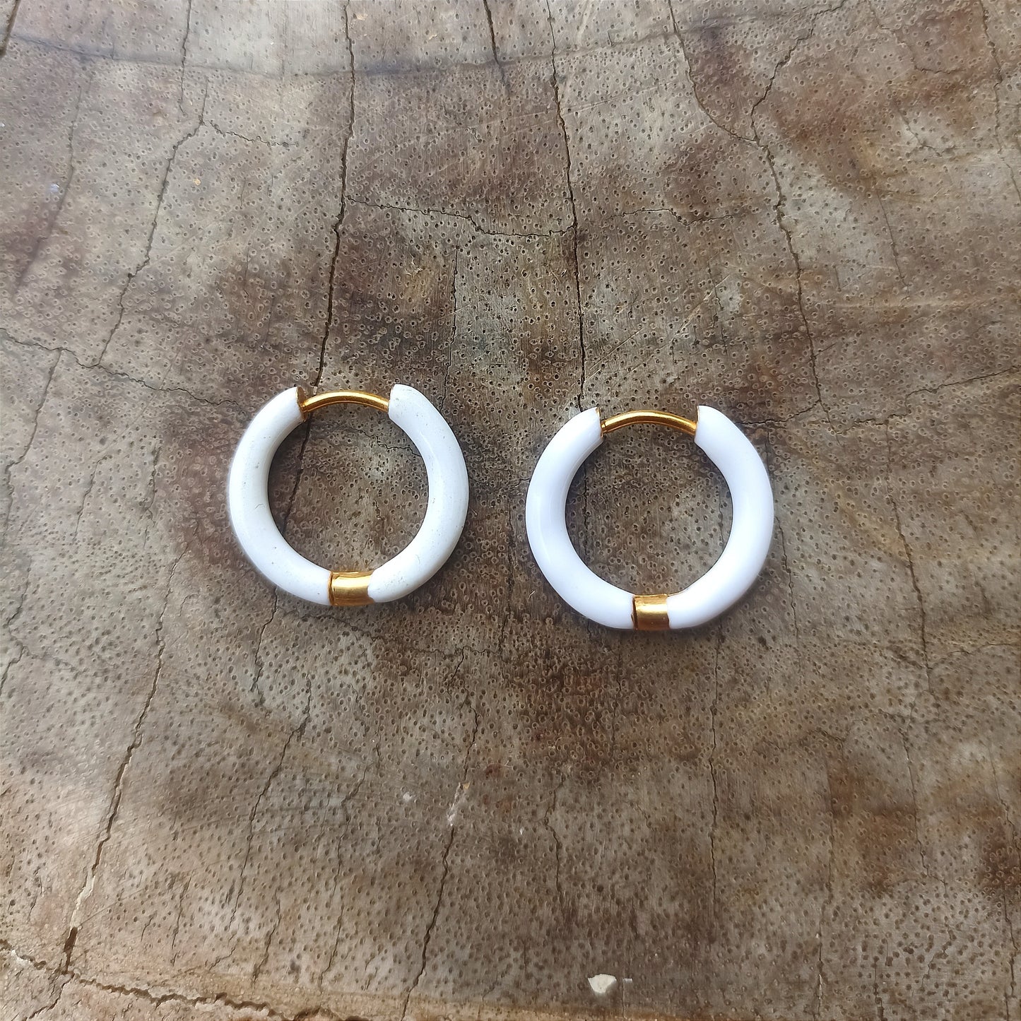 Enamel Earrings