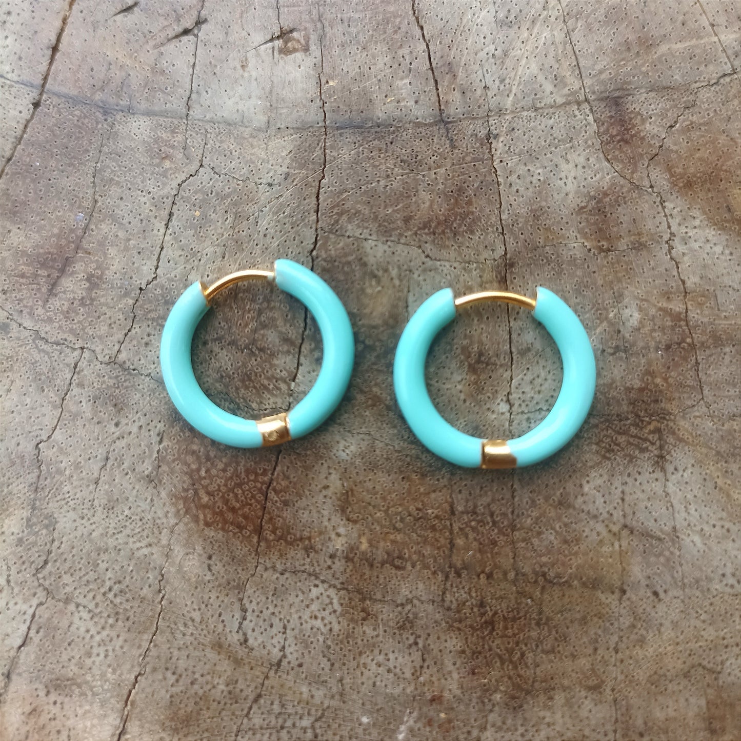 Enamel Earrings