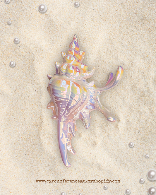 Conch Claw Clip